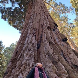 Meet your Posher, Jami